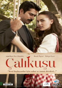 دانلود سریال چکاوک Calikusu 2013